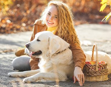 Cómo enseñar a mi perro a que orine donde yo quiero - Apréndete Cómo enseñar a mi perro a que orine donde yo quiero - Apréndete