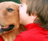 10 razas de perros ideales para tener como mascota