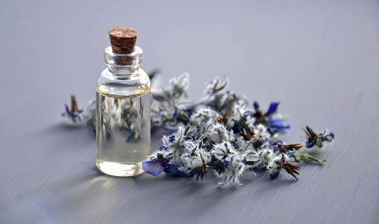 Aceite esencial de ravintsara: refuerza tu sistema inmunitario - Apréndete